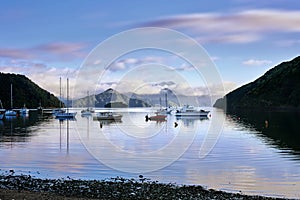 Moored Boats Picton