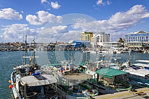Moored fishing boats, Limassol, Cyprus