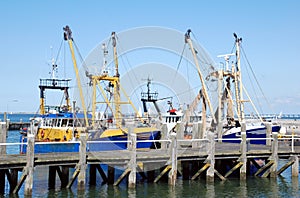 Moored fishing ships