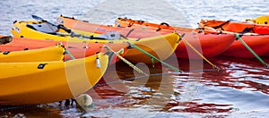 Moored kayaks photo