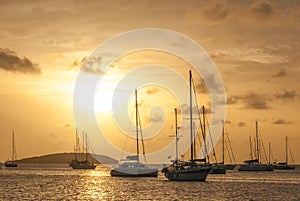 Moored Sailboats in a St. Martin Harbor III