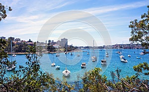 Moored sailboats and yachts.