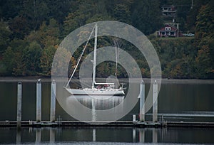 Moored yacht in Poulsbo marina -1