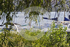 Moored yachts can be seen across the tree branches