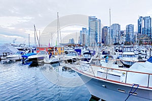 Moored yachts and marina at Coal Harbour in Vancouver, Canada photo