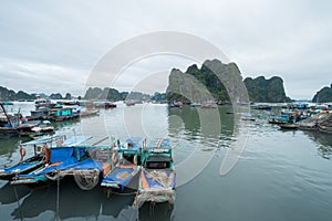 Mooring marina, Ha Long Bay, Quang Ninh Province, Vietnam