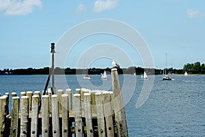 mooring masts in the harbor of Veere