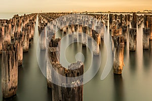 Mooring poles at sunset at Princes Pier