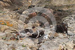 A mooring ring was installed on a beach near Etel (France)