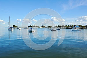 Mooring Sailing Yachts in Harbor