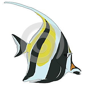 Moorish Idol Vector Illustration