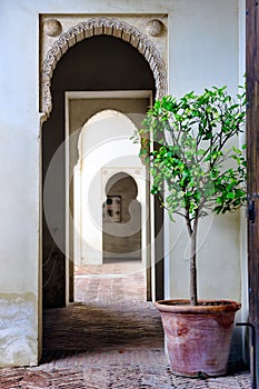 Moorish styled door entrance in Alcazaba of Malaga, Spain