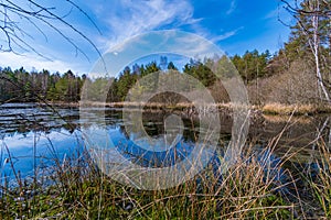 Moorland in the austrian region waldviertel