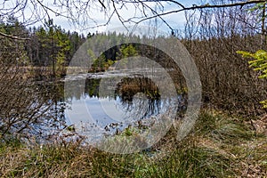 Moorland in the austrian region waldviertel