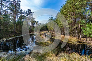 Moorland in the austrian region waldviertel