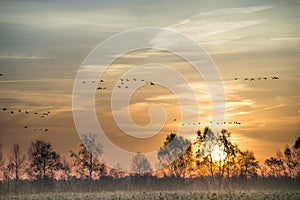 The moorland in the autumn photo