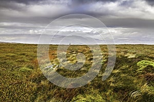 Moorland and bog in Snowdonia National Park in Wales