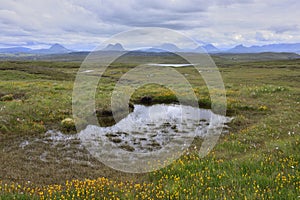 Moorland Landscape of the North West Highlands of Scotland