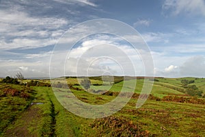 Moorland on Selworthy Beacon, Exmoor, North Devon