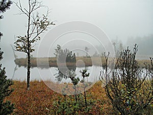 Moorland with a small lake in early fog