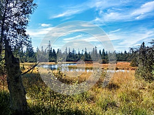 Moorland with a small lake under blue sky