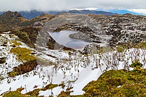 The moors of the Cayambe-Coca