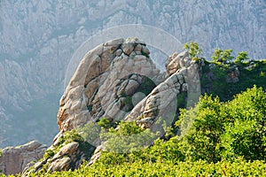 The moorstone rock and trees