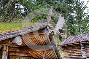 Moose antlers mounted to a hunting cabin