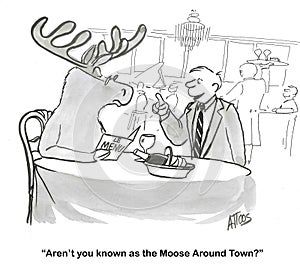 He IS the Moose Around Town