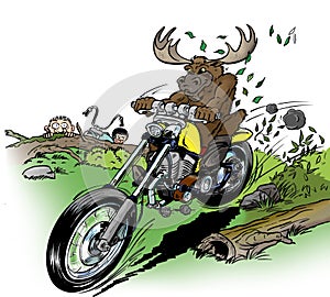 Moose-biker photo