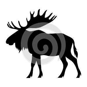Moose black vector icon on white background