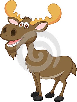 Moose cartoon photo