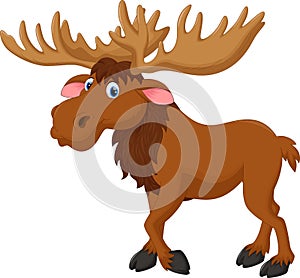 Moose cartoon photo