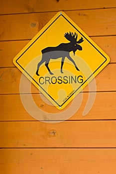 Moose Crossing