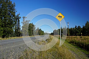 Moose crossing road sign