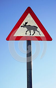 Moose crossing road sign