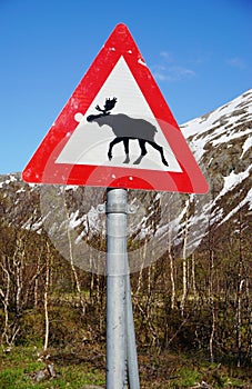 Moose crossing road sign