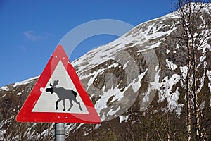 Moose crossing road sign