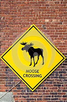 Moose Crossing Sign on Brick Wall