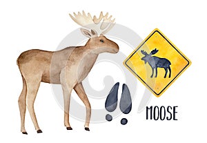 Moose drawing collection with big funny animal, black track and road warning sign.