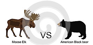 Moose elk against american black bear vector illustration isolated on white background.