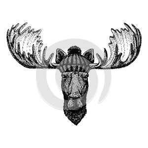 Moose, elk Cool animal wearing knitted winter hat. Warm headdress beanie Christmas cap for tattoo, t-shirt, emblem