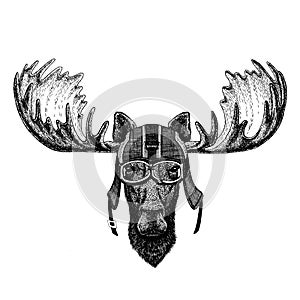 Moose, elk. Hipster animal wearing motorycle helmet. Image for kindergarten children clothing, kids. T-shirt, tattoo