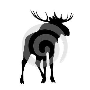 Moose elk vector illustration black silhouette