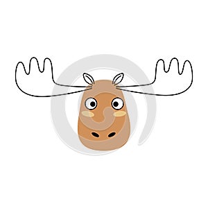 Moose face. Cute elk isolated on white