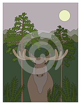 Moose in forest illustration