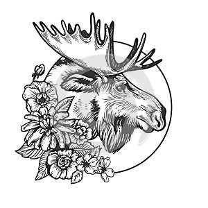 Moose head animal engraving vector