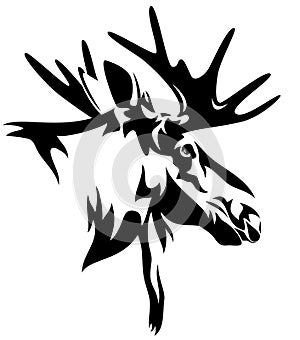 Moose head vector photo