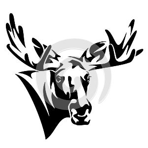 Moose head front view vector design