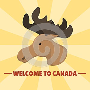 Moose head mammal trophy wildlife antler north animal wilderness hunt reindeer zoo bull vector illustration